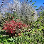 Il Giardino Del Gallo Gasthof