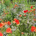 Il Giardino Del Gallo Gasthof