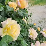 Il Giardino Del Gallo Gasthof