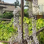 Il Giardino Del Gallo Pensionat Cherasco