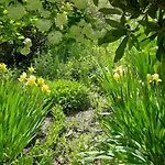 Gasthof Il Giardino Del Gallo 3*