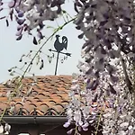 Pensjonat Il Giardino Del Gallo Cherasco