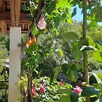 Il Giardino Del Gallo Gasthof Cherasco