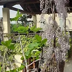 Il Giardino Del Gallo 3*