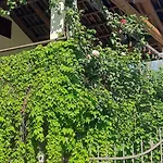 Il Giardino Del Gallo Cherasco