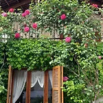 Il Giardino Del Gallo 3*