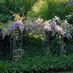 Il Giardino Del Gallo Cherasco