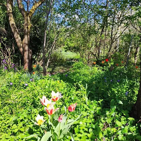 Il Giardino Del Gallo 3*