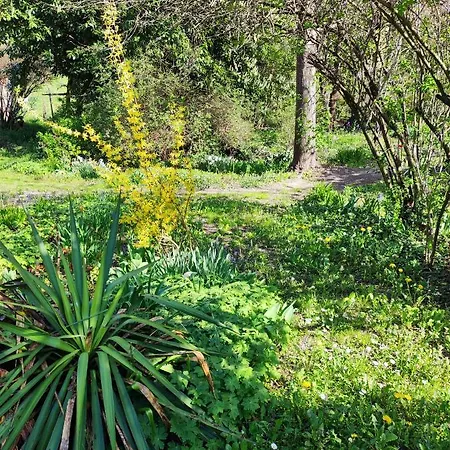 Il Giardino Del Gallo Cherasco