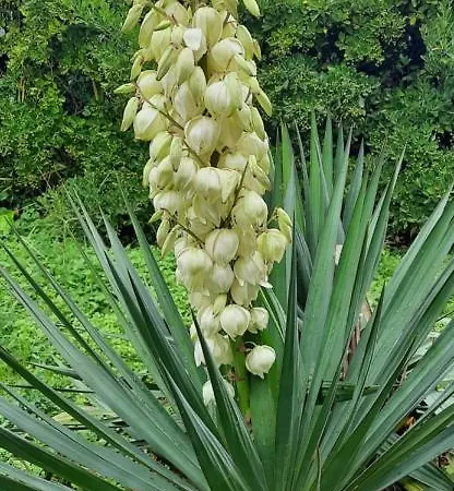 Il Giardino Del Gallo Pensión Cherasco