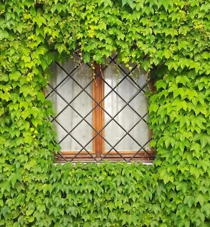 Il Giardino Del Gallo 3* Cherasco