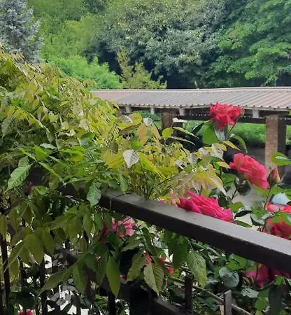 Il Giardino Del Gallo