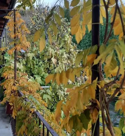 Il Giardino Del Gallo 3* Cherasco