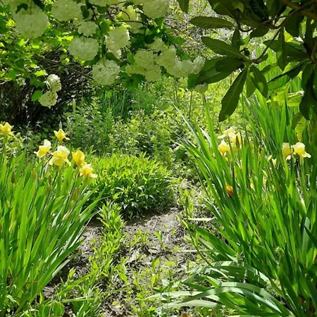 Pensión Il Giardino Del Gallo 3*