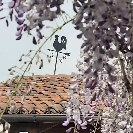 Pensión Il Giardino Del Gallo Cherasco