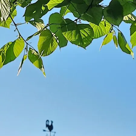 Il Giardino Del Gallo 3* Cherasco