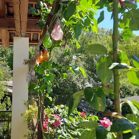 Il Giardino Del Gallo Pensión Cherasco
