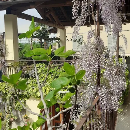 Il Giardino Del Gallo 3*