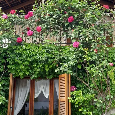 Il Giardino Del Gallo 3*