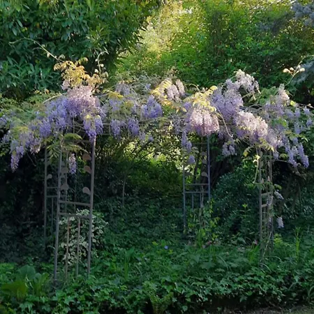 Il Giardino Del Gallo Cherasco