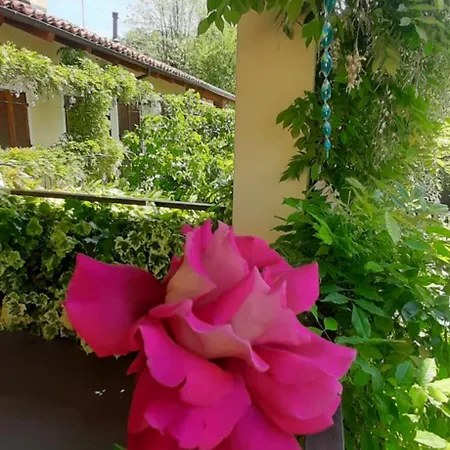 Il Giardino Del Gallo 게스트하우스