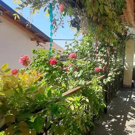 Il Giardino Del Gallo 3*